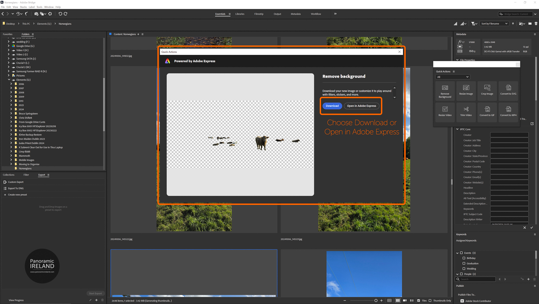 Background Removed in Abobe Bridge - Download or Open in Adobe Express